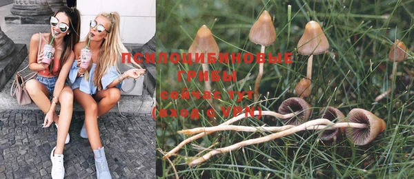 мдпв Кодинск