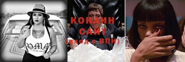мдпв Кодинск