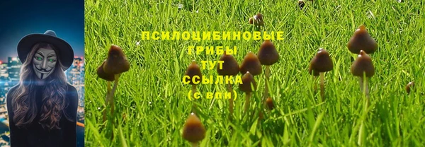 мдпв Кодинск