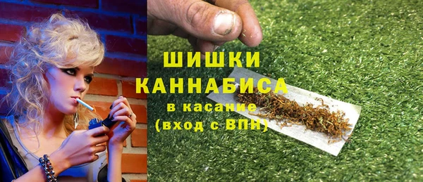 мдпв Кодинск