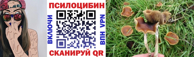 Галлюциногенные грибы Magic Shrooms  Невинномысск 